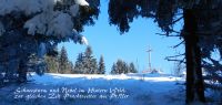 06 zur selben zeit ein wolkenloser himmel im vorderen wald ft